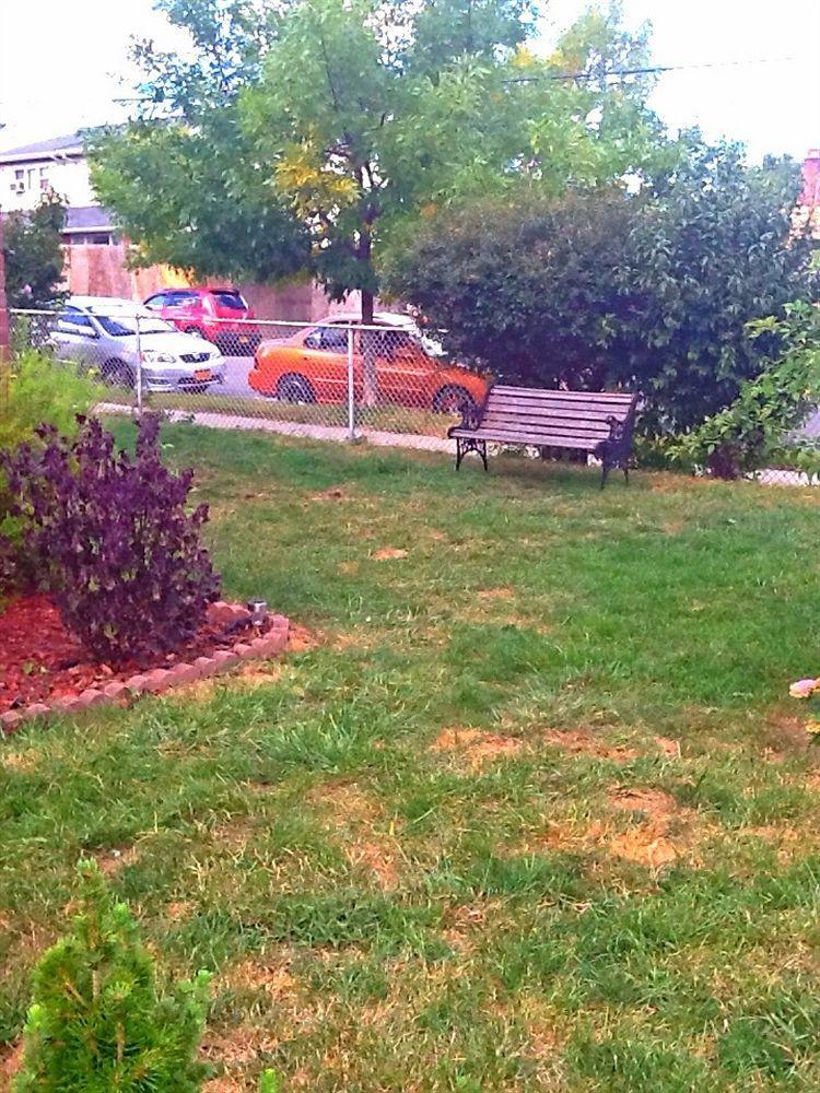 Jfk Bed And Breakfast Guesthouse New York Eksteriør bilde
