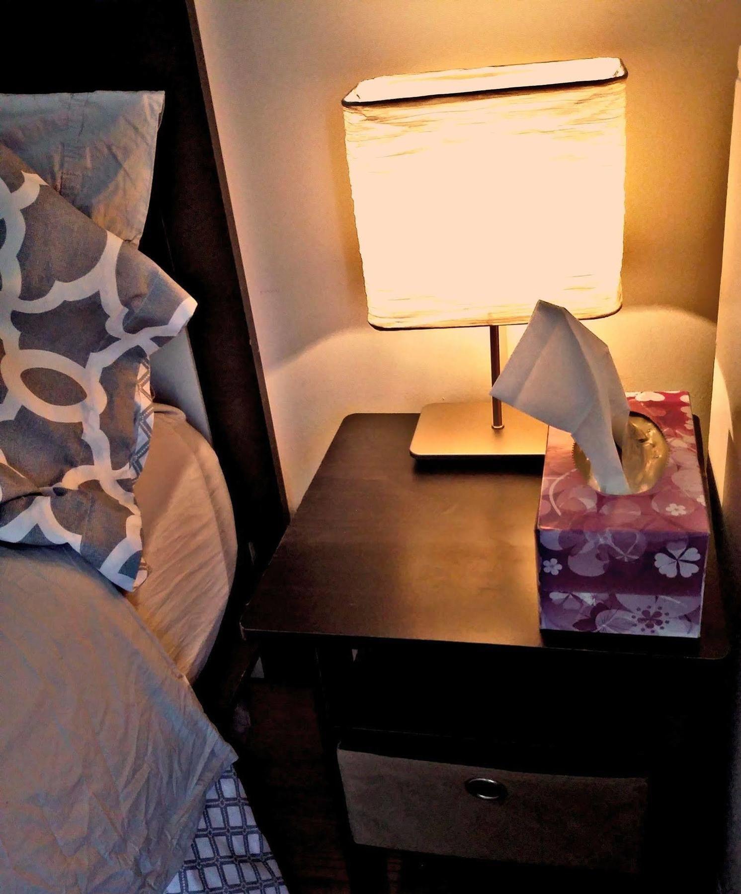 Jfk Bed And Breakfast Guesthouse New York Eksteriør bilde